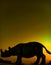 Rhinocerous walking through forest in the sunset