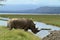 Rhinos in Lake Nakuru National Park in Kenya