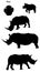 Rhinos in silhouette