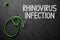Rhinovirus Infection on Chalkboard. 3D Illustration.