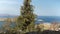 Rhodes, Greece: Push in shot of Lindos beach through wall of acropolis during summer