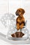 Rhodesian Ridgeback puppy leaning on a rocking horse in children