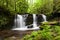 Rhododendron Creek Waterfall in Greenbrier
