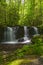 Rhododendron Creek Waterfall in Greenbrier