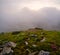 Rhododendron flowers on early morning cloudy Carpathian Mountains