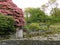 Rhododendron gardens designed by John Ruskin at the Brantwood Museum in the Lake District