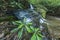 Rhododendron & Waterfalls, Greenbrier, Great Smoky Mountains NP