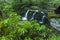 Rhododendron & Waterfalls, Greenbrier, Great Smoky Mountains NP