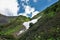 Rhododendrons are blooming on the mountainside