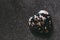 Rhodonite stone heart on a black background