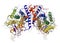 Rhodopsin protein structure