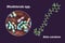 Rhodotorula fungi and molecule of beta-carotene, 3D illustration. Rhodotorula yeasts are a natural source of beta-carotene pigment