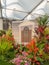 RHS Chelsea Flower Show 2017. A Barbados Horticultural Society display at the Great Pavilion.