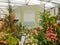 RHS Chelsea Flower Show 2017. A Barbados Horticultural Society display at the Great Pavilion.