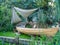 RHS Chelsea Flower Show 2017. The IBTC Lowestoft: Broadland Boatbuilderâ€™s Garden.