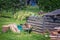 Rhubarb flowers cut and lying at top of wooden compost box. Cut tree stub, green plastic basket, garden cart with firewood