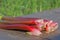 Rhubarb just pulled from its corner in the small kitchen garden