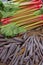 Rhubarb and purple carrots on rustic wooden table