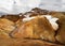 Rhyolite mountains in Iceland with snowfields