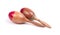 Rhythm percussion instrument maraca