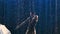 Rhythmic gymnast dancing with an umbrella under drops of rain in a dark studio with blue backlight. Close up. Slow