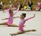 Rhythmic gymnastics tournament