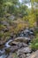 Rialb River at Andorran Mountains during autumn