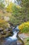 Rialb River with autumnal colours