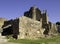 Ribadavia castle ruins