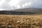 Ribblehead viaduct and Hills