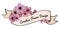 Ribbon banners with pink flowers hand drawn, Spring cherry blossom. Can be used for wedding invitations, and formal greeting cards