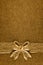 Ribbon with bow on burlap toned in honey dijon