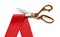 Ribbon and scissors on white background. Ceremonial red tape cutting