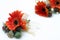 Ribboned orange buttonholes