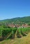 Ribeauville,Alsace