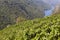 Ribeira sacra terrace vineyards and Sil river canyon in Galicia