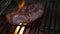 Ribeye steak on charcoal grill, 4K