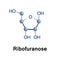 Ribose part of RNA.