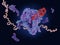 Ribosome translating mRNA into a polypeptide chain