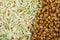 Rice and buckwheat background