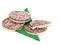Rice cakes, crackers with milk chocolate and coconut. Healthy crunchy treat, on green paper serviette, napkin, isolated