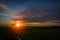 Rice cornfield at twilight sunset