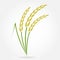 Rice. Crop symbol. Rice or Wheat ears design element. Agriculture grain. Colorful vector illustration.