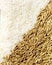 Rice detail, cereal grain, it is the most widely consumed staple food for a large part of the world`s human population