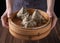 Rice dumpling, zongzi - Bunch of Chinese traditional cooked food on wooden table over black background, concept of Dragon Boat