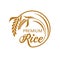 Rice farm, organic product icon or symbol