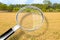 Rice field in Camargue Region ready to be harvested Europe-France - Concept image seen through a magnifying glass