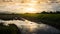 Rice field and gold clouds with reflection sun on water.