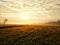 Rice field golden sunrise village nature