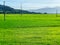 Rice field, green rice sprouts in the meadow. Mountain view, agriculture in Asia